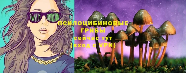 тгк Вязьма