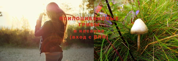прущие грибы Верхнеуральск
