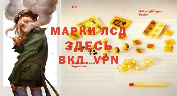 прущие грибы Верхнеуральск